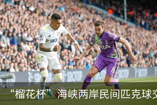 “榴花杯”海峡两岸民间匹克球交流赛在云南省玉溪开赛
