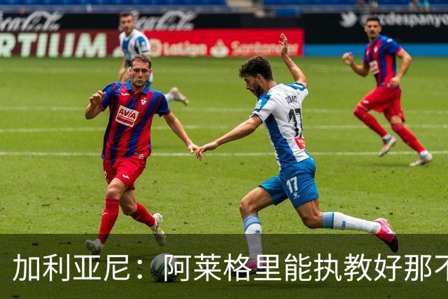 加利亚尼：阿莱格里能执教好那不勒斯，他会根据队内球员制定战术