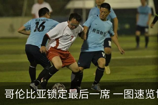 哥伦比亚锁定最后一席 一图速览世界杯16强